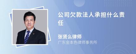 公司欠款法人承担什么责任