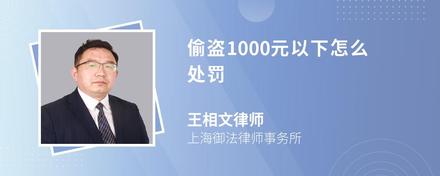 偷盗1000元以下怎么处罚