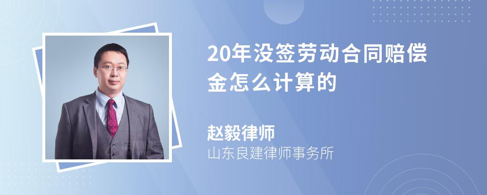 20年没签劳动合同赔偿金怎么计算的