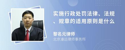 实施行政处罚法律、法规、规章的适用原则是什么