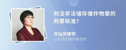 刑法非法储存爆炸物罪的判罪标准?