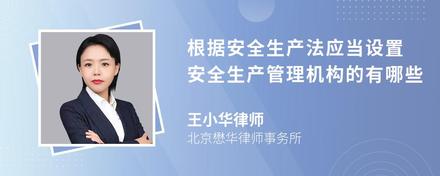 根据安全生产法应当设置安全生产管理机构的有哪些