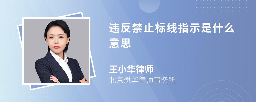 违反禁止标线指示是什么意思