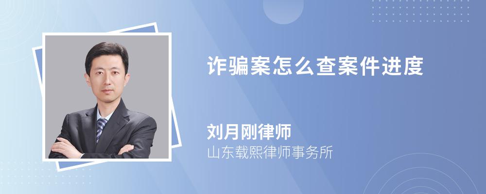 诈骗案怎么查案件进度