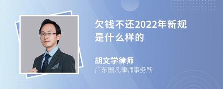 欠钱不还2022年新规是什么样的