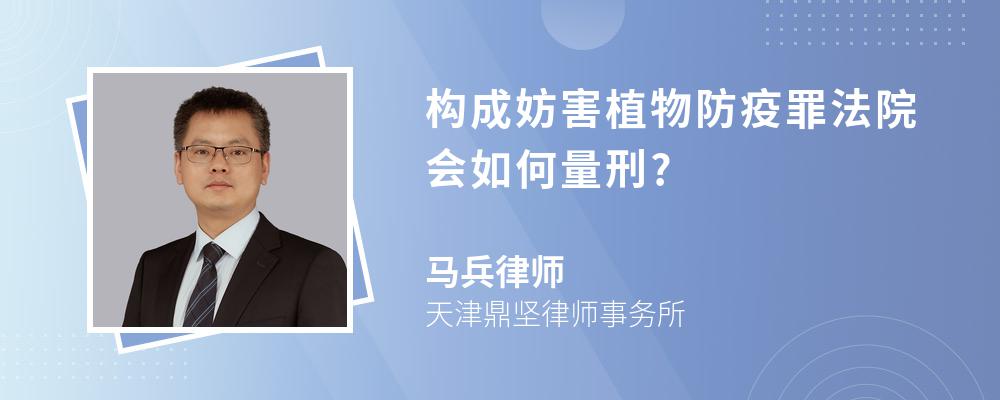 构成妨害植物防疫罪法院会如何量刑?