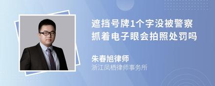 遮挡号牌1个字没被警察抓着电子眼会拍照处罚吗