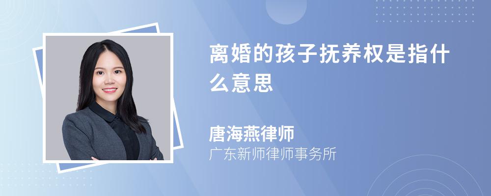 离婚的孩子抚养权是指什么意思