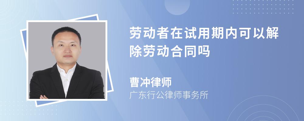 劳动者在试用期内可以解除劳动合同吗