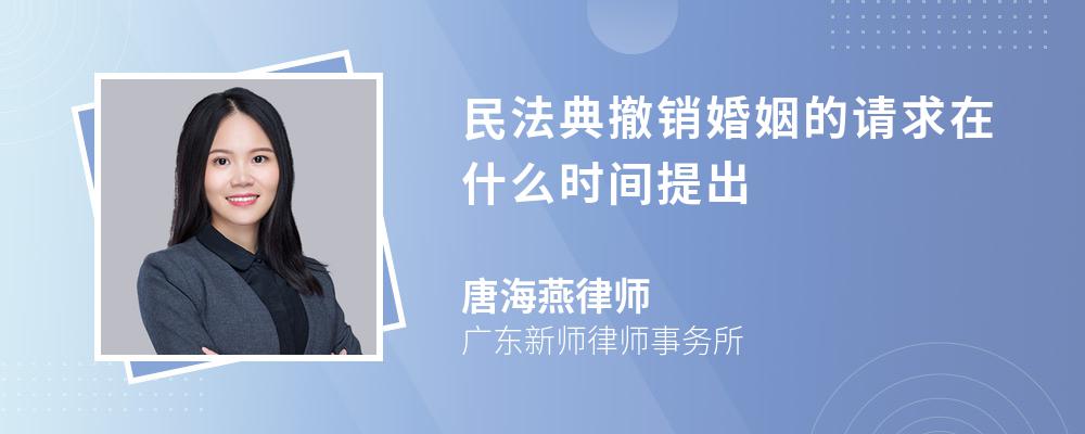 民法典撤销婚姻的请求在什么时间提出