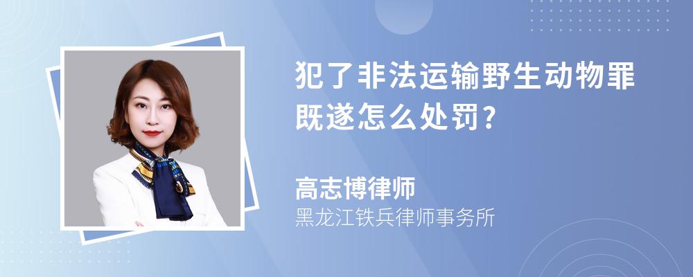 犯了非法运输野生动物罪既遂怎么处罚?