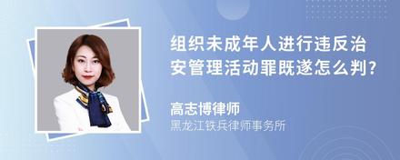 组织未成年人进行违反治安管理活动罪既遂怎么判?