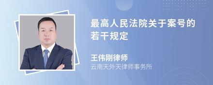 最高人民法院关于案号的若干规定