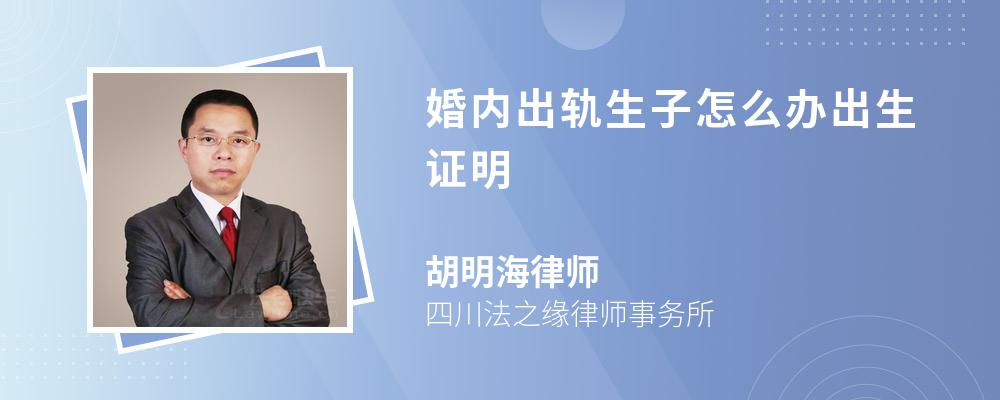 婚内出轨生子怎么办出生证明