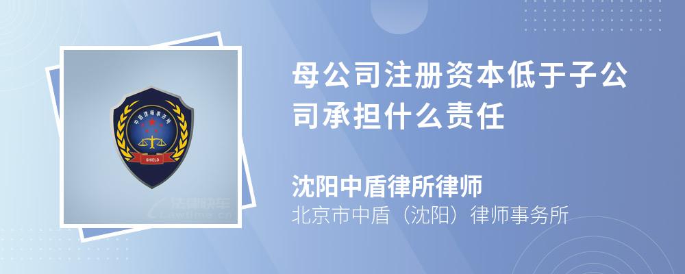 母公司注册资本低于子公司承担什么责任