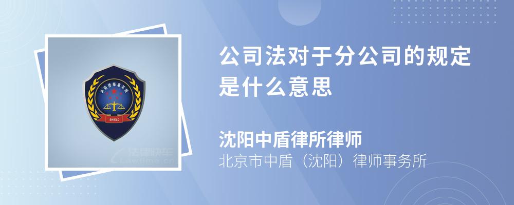 公司法对于分公司的规定是什么意思