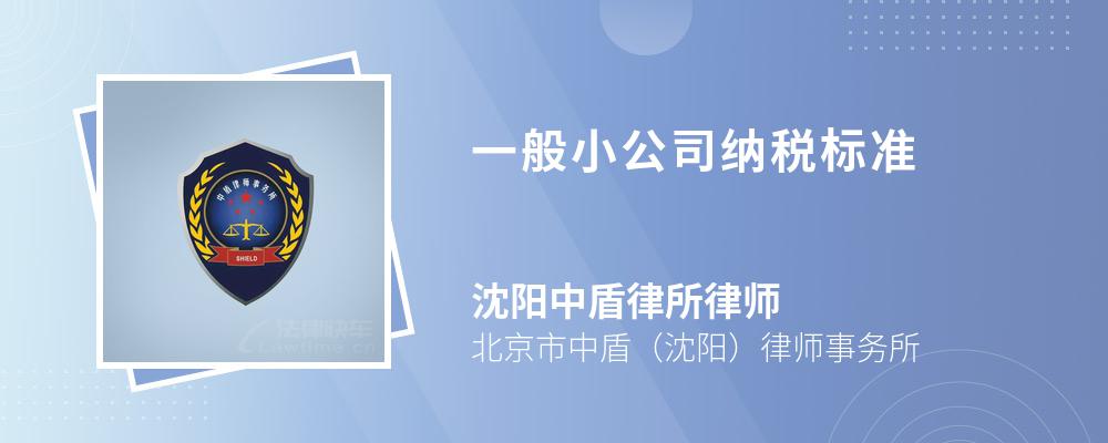 一般小公司纳税标准