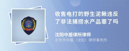 收售电打的野生泥鳅违反了非法捕捞水产品罪了吗