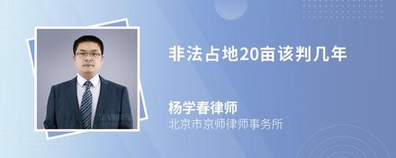 非法占地20亩该判几年