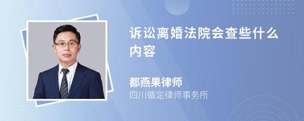 诉讼离婚法院会查些什么内容