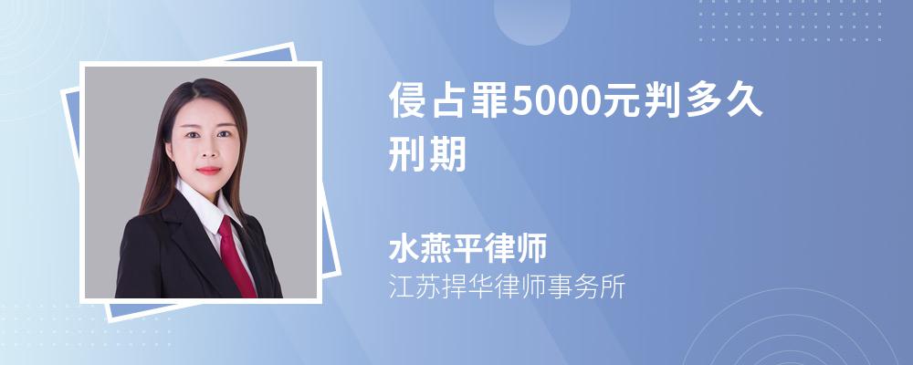 侵占罪5000元判多久刑期