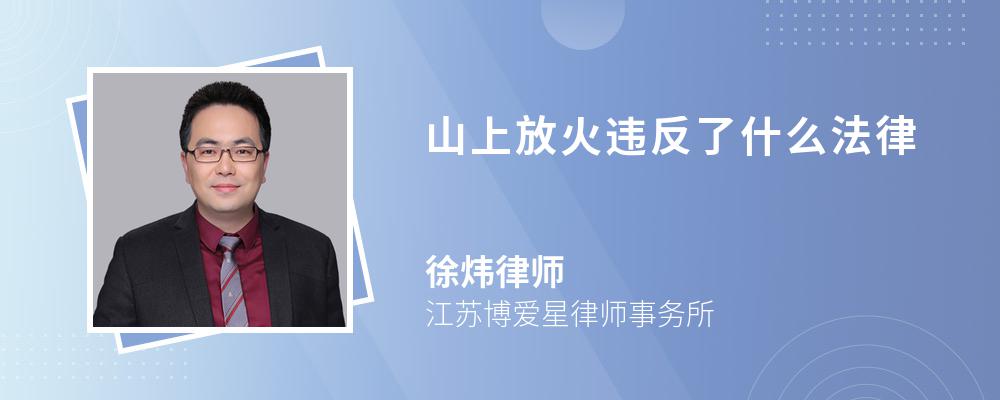 山上放火违反了什么法律