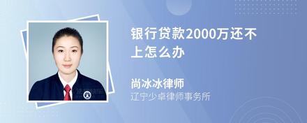 银行贷款2000万还不上怎么办