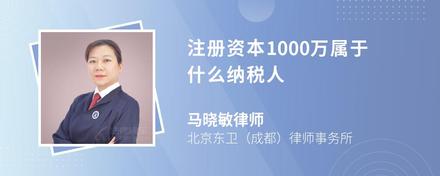 注册资本1000万属于什么纳税人