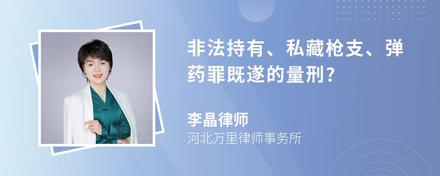 非法持有、私藏枪支、弹药罪既遂的量刑?