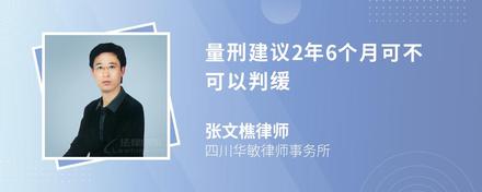 量刑建议2年6个月可不可以判缓