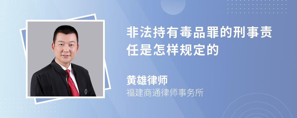 非法持有毒品罪的刑事责任是怎样规定的