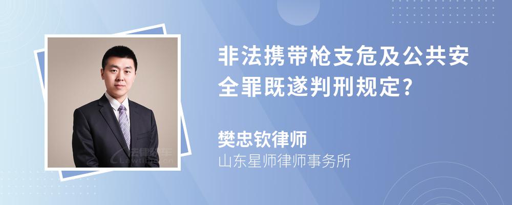 非法携带枪支危及公共安全罪既遂判刑规定?