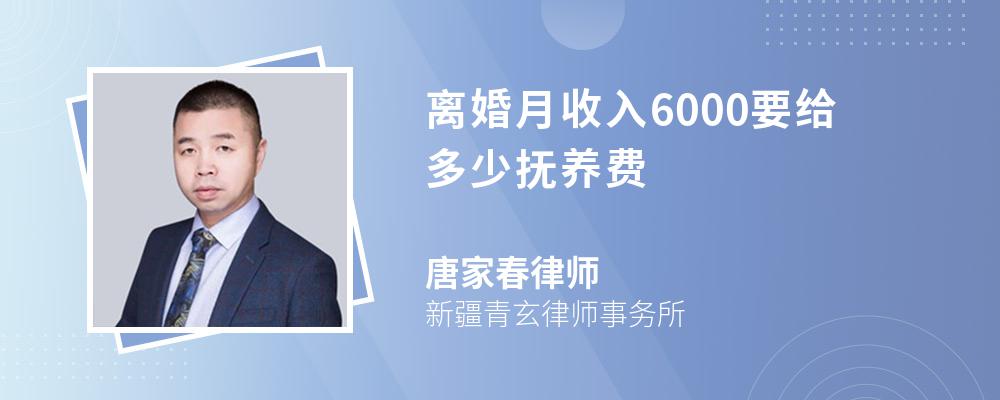 离婚月收入6000要给多少抚养费