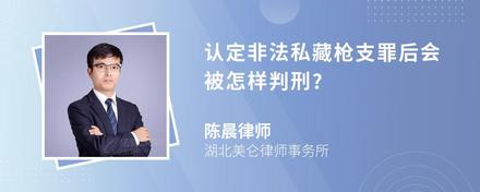 认定非法私藏枪支罪后会被怎样判刑?