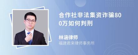 合作社非法集资诈骗800万如何判刑