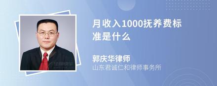 月收入1000抚养费标准是什么