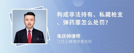 构成非法持有、私藏枪支、弹药罪怎么处罚?