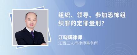 组织、领导、参加恐怖组织罪的定罪量刑?