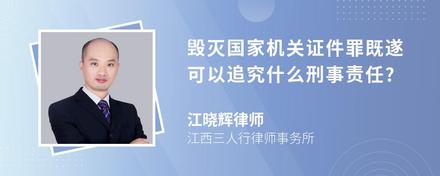 毁灭国家机关证件罪既遂可以追究什么刑事责任?