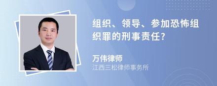 组织、领导、参加恐怖组织罪的刑事责任?