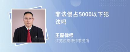 非法侵占5000以下犯法吗