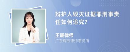 辩护人毁灭证据罪刑事责任如何追究?