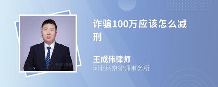 诈骗100万应该怎么减刑