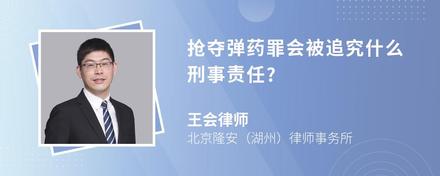 抢夺弹药罪会被追究什么刑事责任?