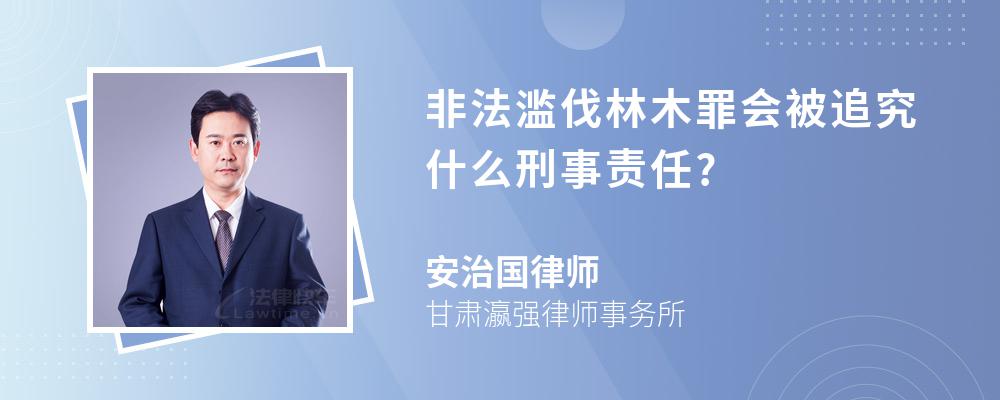 非法滥伐林木罪会被追究什么刑事责任?