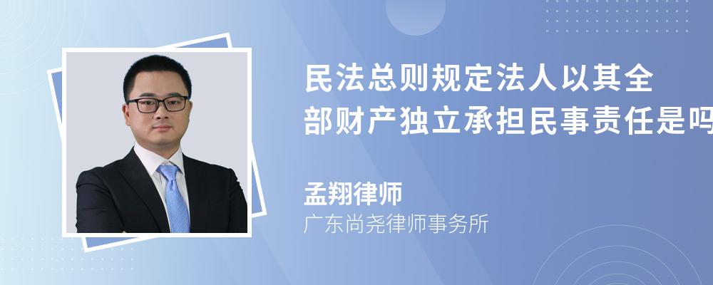 民法总则规定法人以其全部财产独立承担民事责任是吗