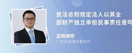 民法总则规定法人以其全部财产独立承担民事责任是吗