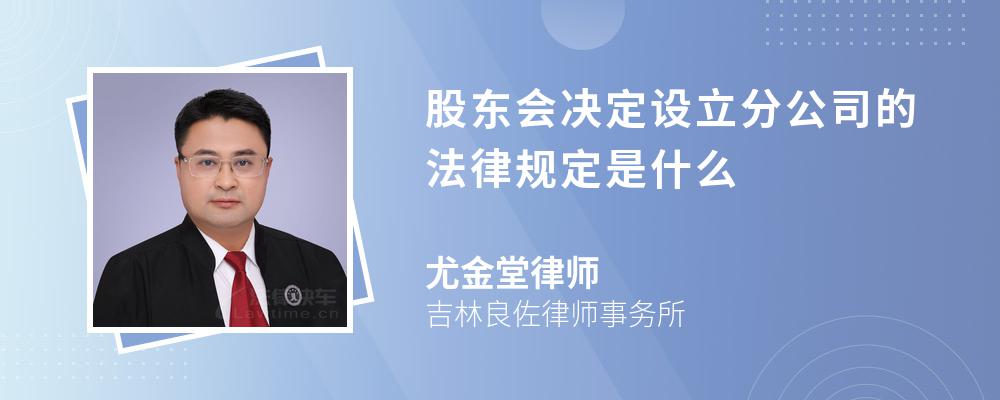 股东会决定设立分公司的法律规定是什么