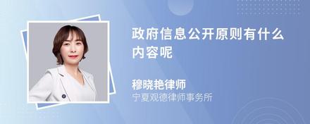 政府信息公开原则有什么内容呢