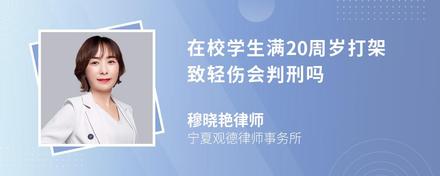 在校学生满20周岁打架致轻伤会判刑吗